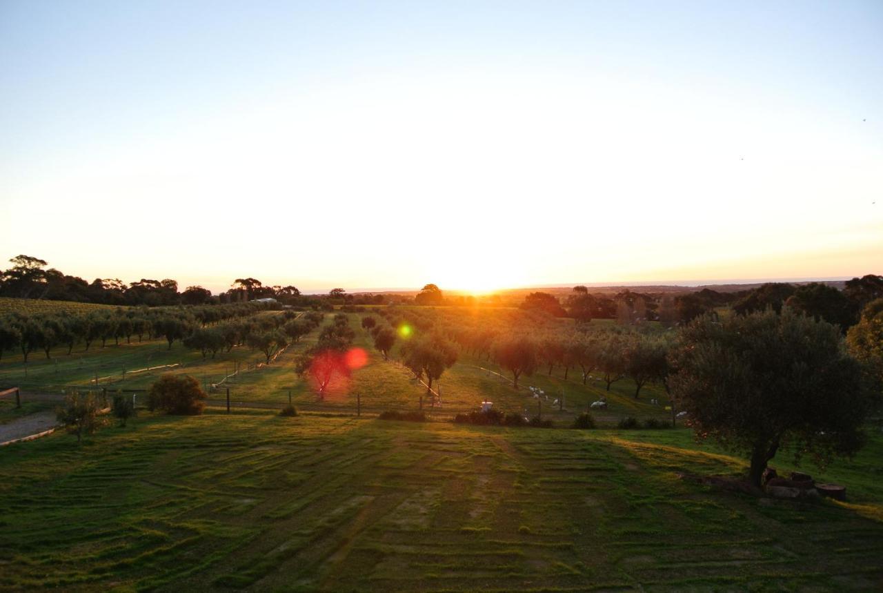 Bed and Breakfast The Farm Willunga Pokoj fotografie
