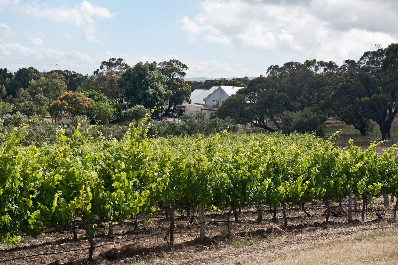 Bed and Breakfast The Farm Willunga Exteriér fotografie