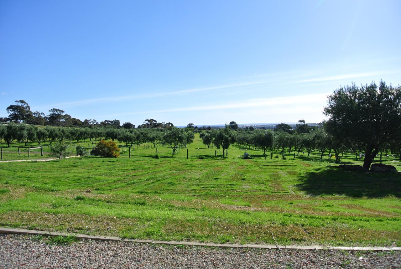 Bed and Breakfast The Farm Willunga Exteriér fotografie