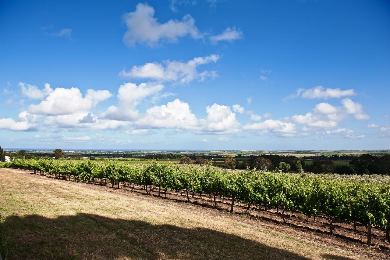 Bed and Breakfast The Farm Willunga Exteriér fotografie